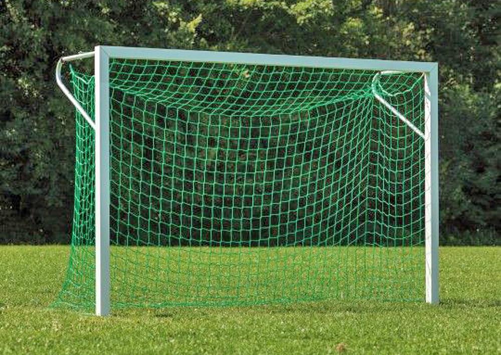 Net for small field goal